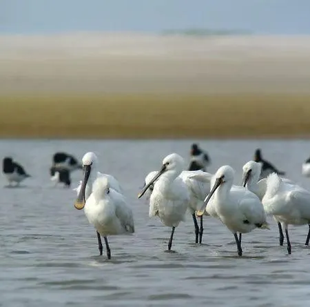 Wad Noch Kemping Anna Paulowna