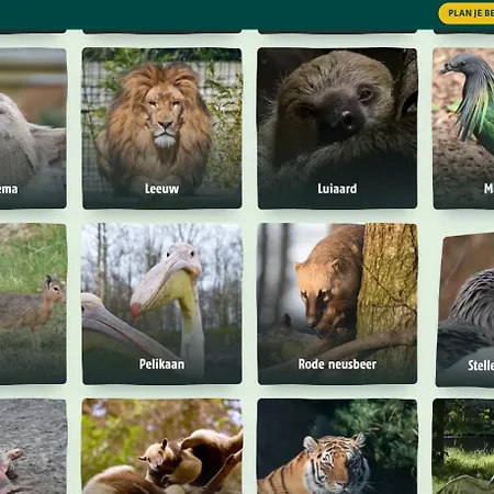 Kemping Wad Noch Anna Paulowna