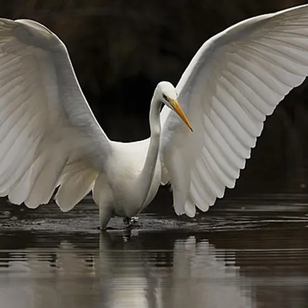 Wad Noch Anna Paulowna